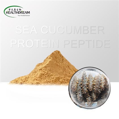 Peptid Protein Ciwcymbr Môr
